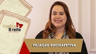 Explica Direito Filiação Socioafetiva  2019 [upl. by Ailemrac]