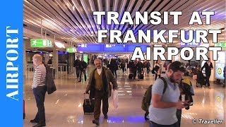 TRANSIT WALK AT FRANKFURT Airport FRA Terminal 1  Connection Flight Transfer Arriving amp Departing [upl. by Ytisahc]